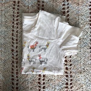 J. Crew Collector Tee